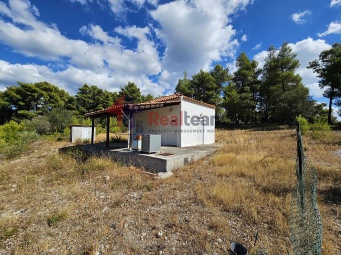 Image No.46-1 Bed Property for sale