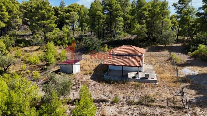 Image No.27-1 Bed Property for sale