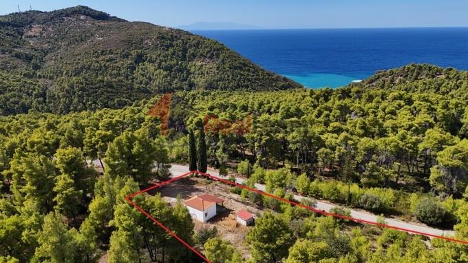 Image No.45-1 Bed Property for sale