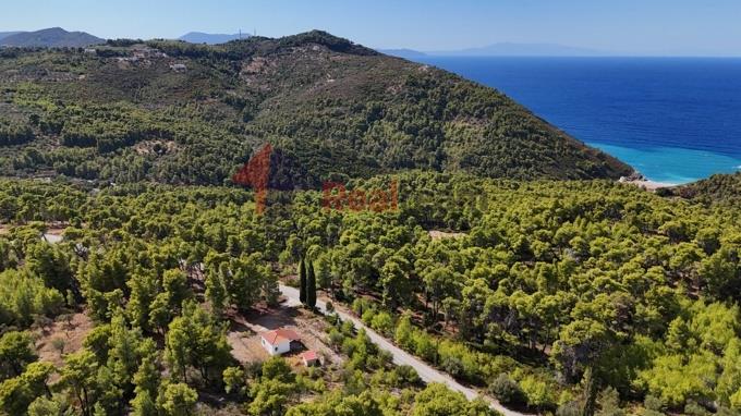 Image No.50-1 Bed Property for sale