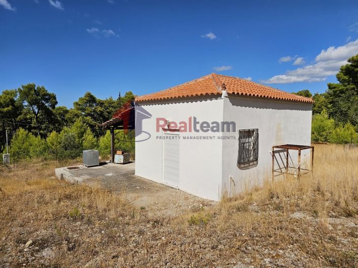 Image No.12-1 Bed Property for sale