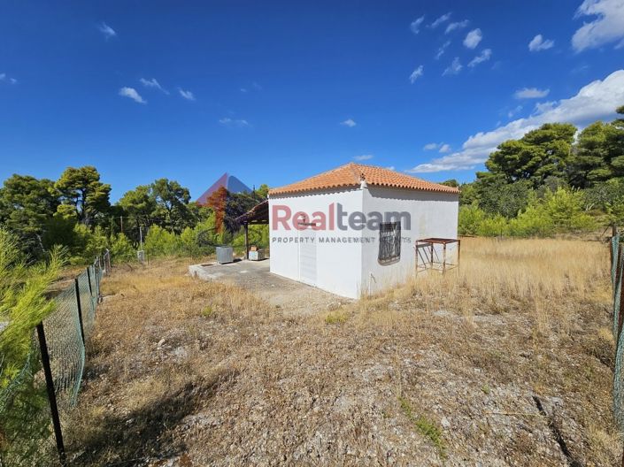 Image No.13-1 Bed Property for sale