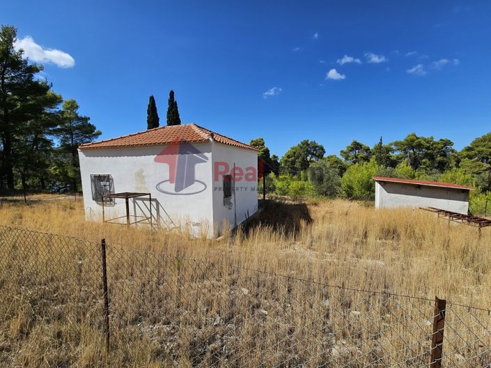 Image No.16-1 Bed Property for sale