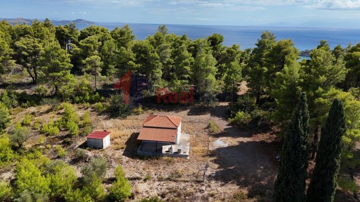 Image No.20-1 Bed Property for sale