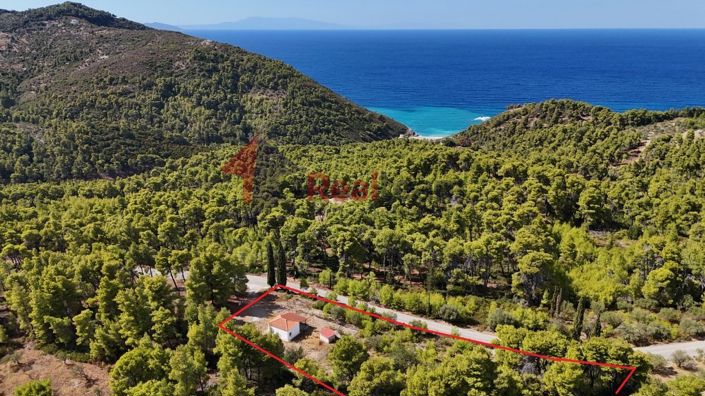 Image No.25-1 Bed Property for sale