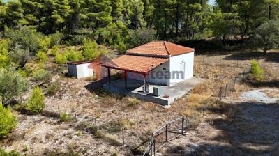 4007d454f351479faeb329a6664f795a