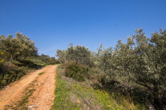 Image No.10-Property for sale