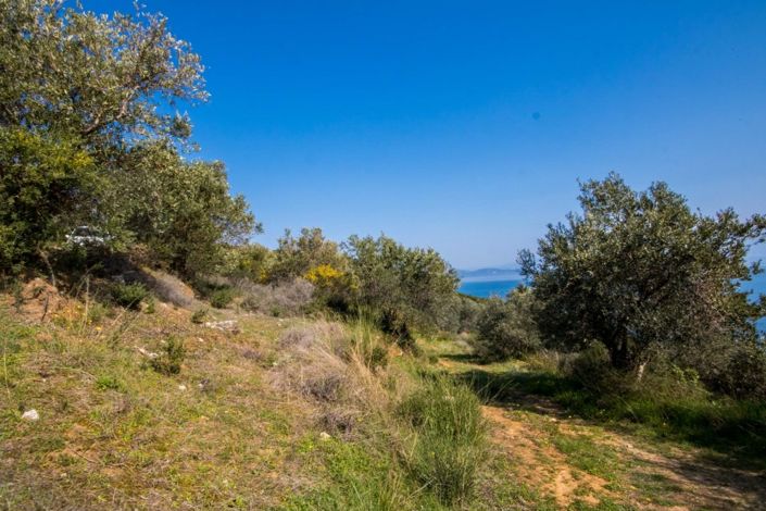 Image No.11-Property for sale