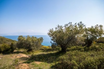 imga4fb3514-22f6-4caa-9642-b4df62bf94bb