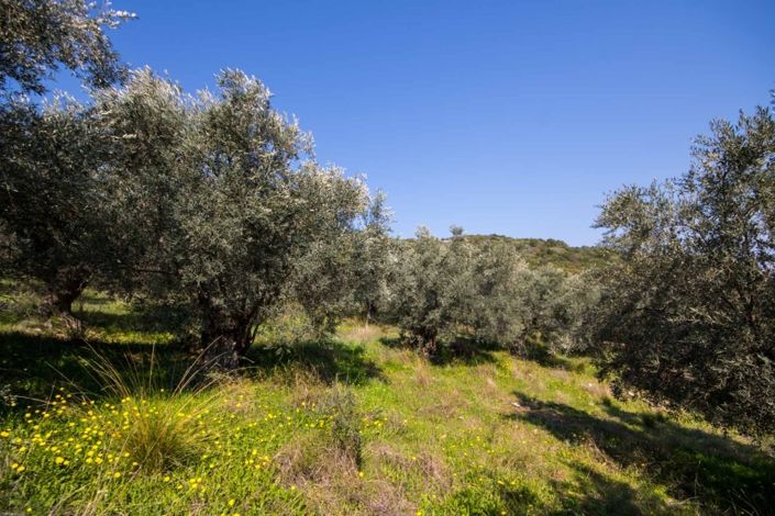 Image No.13-Property for sale