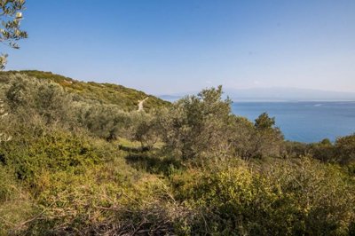 img4c587fdf-bc36-4869-8d4b-f9ea740261e7