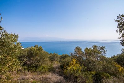 img5de9ea0f-8d11-40ff-9bee-a4b4eebdb006