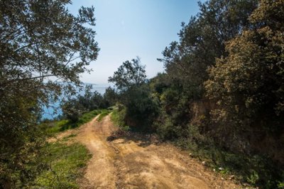 img5b4f97e0-5b49-4aba-a4d8-695ca1449817