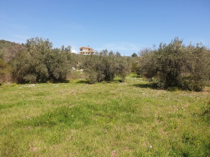 Image No.4-Property for sale