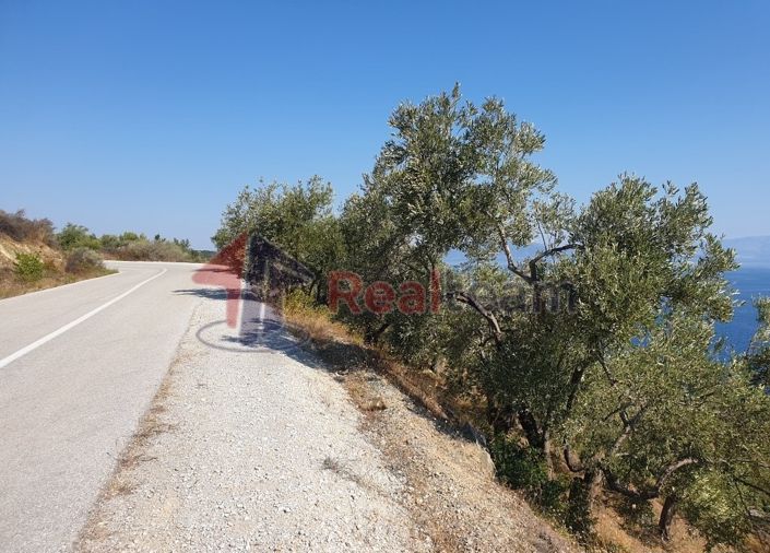 Image No.11-Property for sale