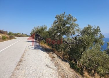 imga21fd9bb-6ef4-454f-a05c-3ec704f4146b