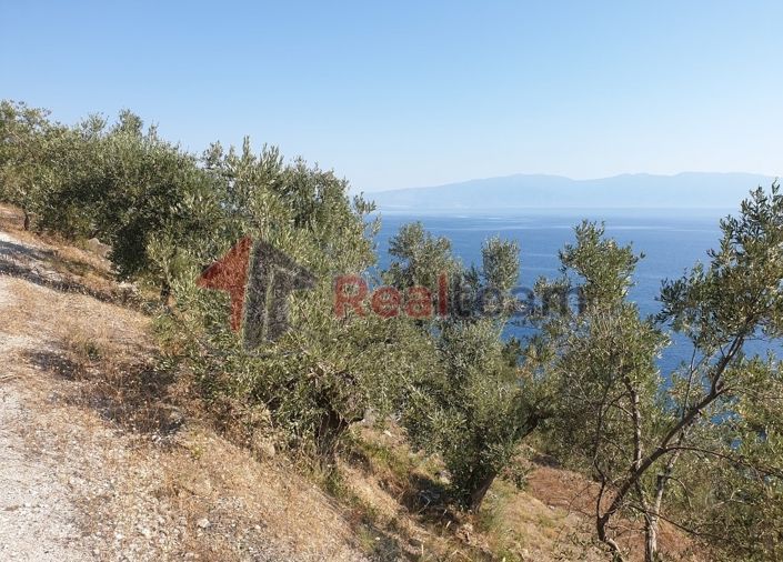 Image No.12-Property for sale