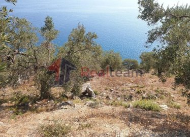 img2bc53451-b378-4526-a804-e15642a27906