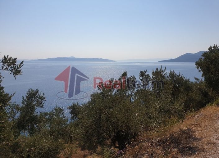 Image No.4-Property for sale