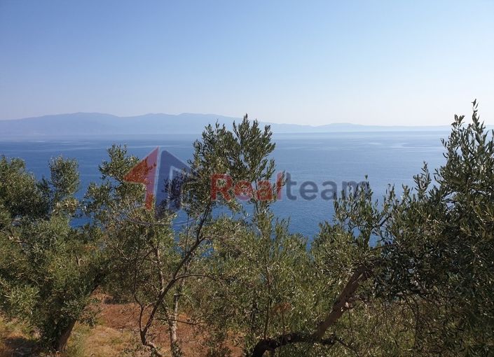 Image No.5-Property for sale