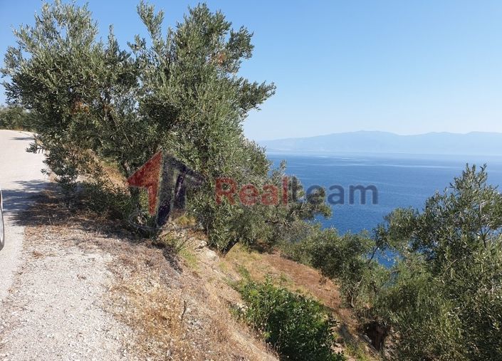 Image No.6-Property for sale