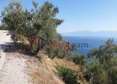 imgbef6881d-e0a5-415d-9687-8d656fa0c555