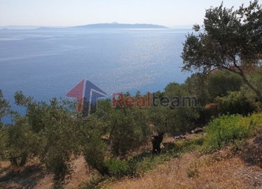 img0ca32433-5a93-483b-8f2e-78a2d6427628