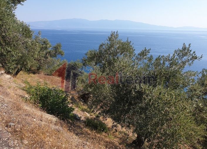 Image No.9-Property for sale