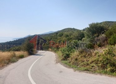 img669546ca-62be-4122-9367-78ffa3387c90