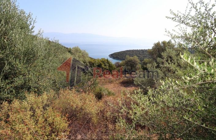 Image No.14-Propriété à vendre à Sourpi