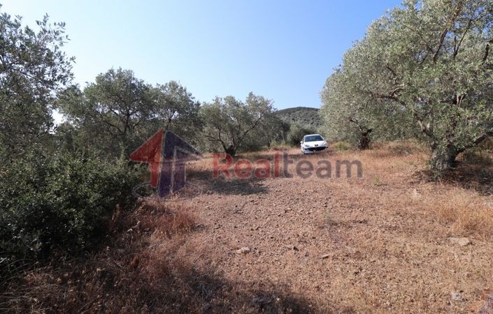 Image No.16-Propriété à vendre à Sourpi