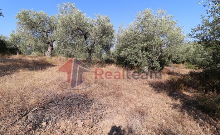 Image No.17-Propriété à vendre à Sourpi