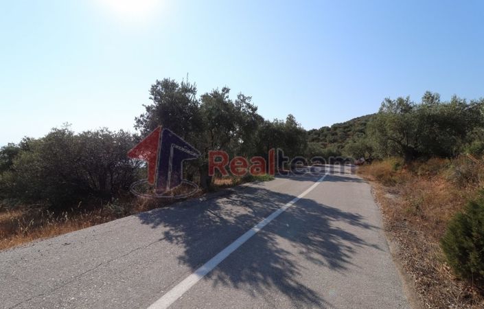 Image No.18-Propriété à vendre à Sourpi