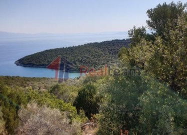 img406962a8-4657-4a6b-a684-07b27bf306fe