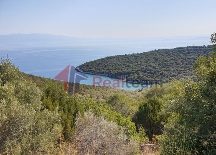 Image No.3-Propriété à vendre à Sourpi