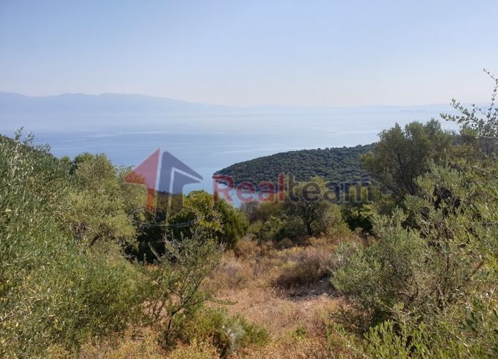 Image No.4-Propriété à vendre à Sourpi