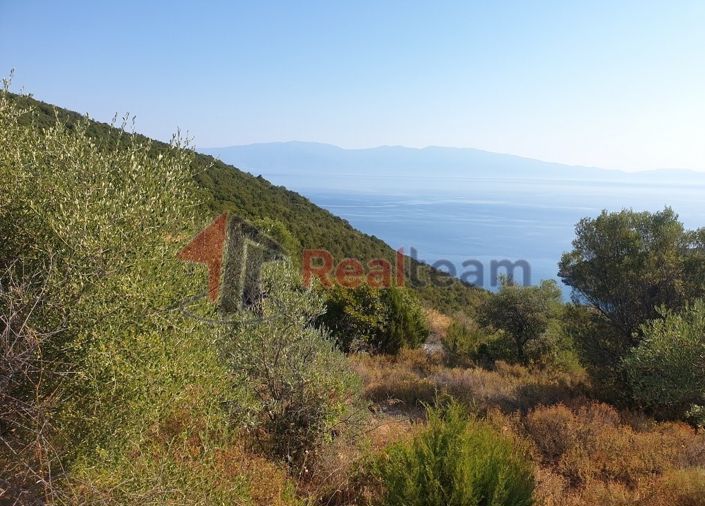 Image No.5-Propriété à vendre à Sourpi