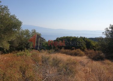 img79567a39-5edb-4849-b690-3b73f07efacf