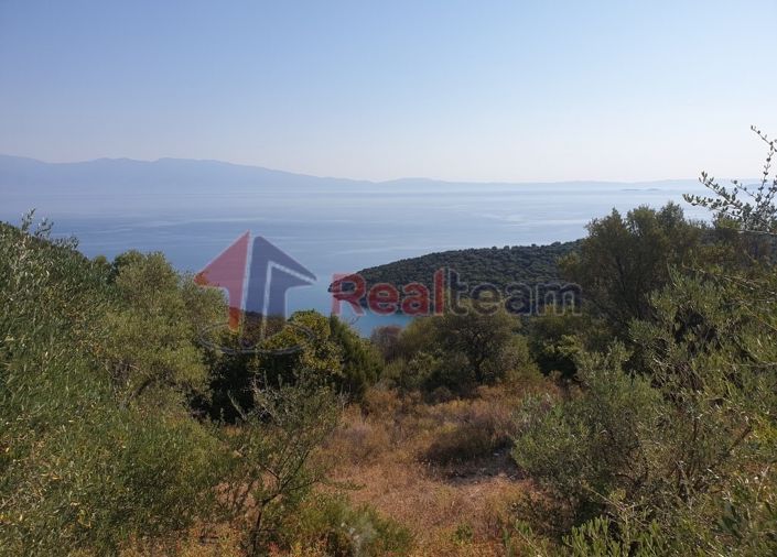 Image No.8-Propriété à vendre à Sourpi