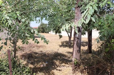 imgf64b290d-68f0-43b7-aa3b-57459908d076