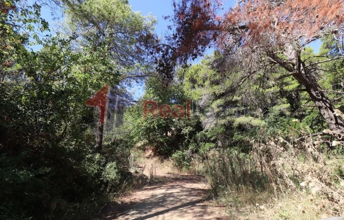 Image No.10-Property for sale