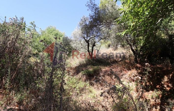 Image No.12-Property for sale