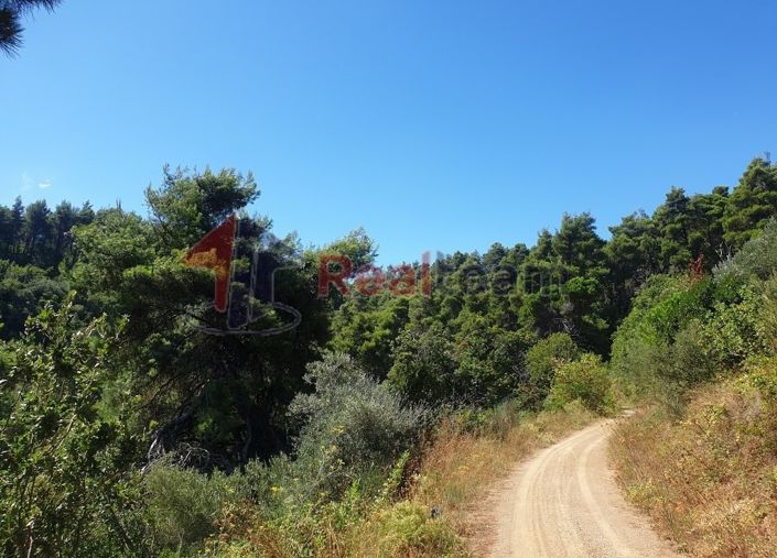 Image No.2-Property for sale