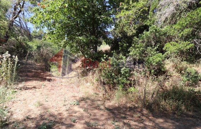 Image No.4-Property for sale