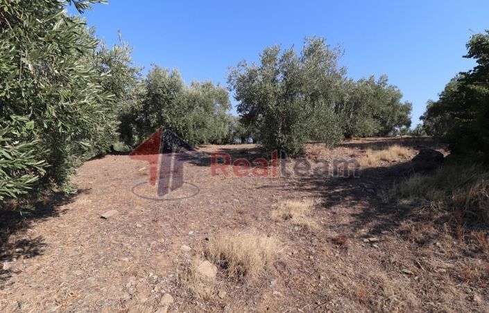 Image No.10-Property for sale