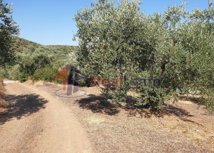 Image No.12-Property for sale