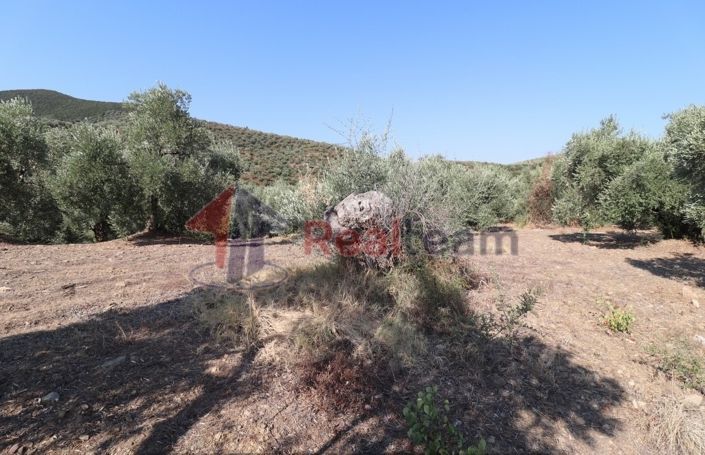 Image No.13-Property for sale