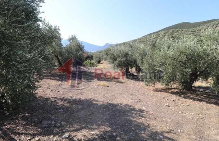 Image No.14-Property for sale