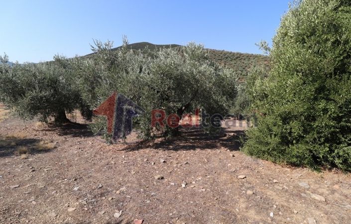 Image No.15-Property for sale