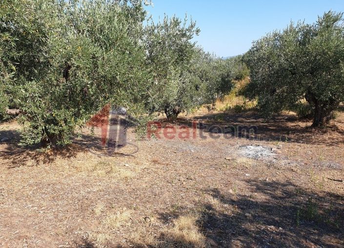 Image No.16-Property for sale